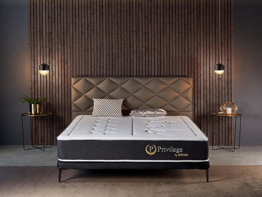 Naturalex - Colchón Muelles 140x190 cm - Altura 24 cm - Privilege - Híbrido Muelles Ensacados y Viscoelástica - Espuma HR y Blue Látex - Ergonómico, Transpirable, Gran Adaptabilidad - Acabados Premium