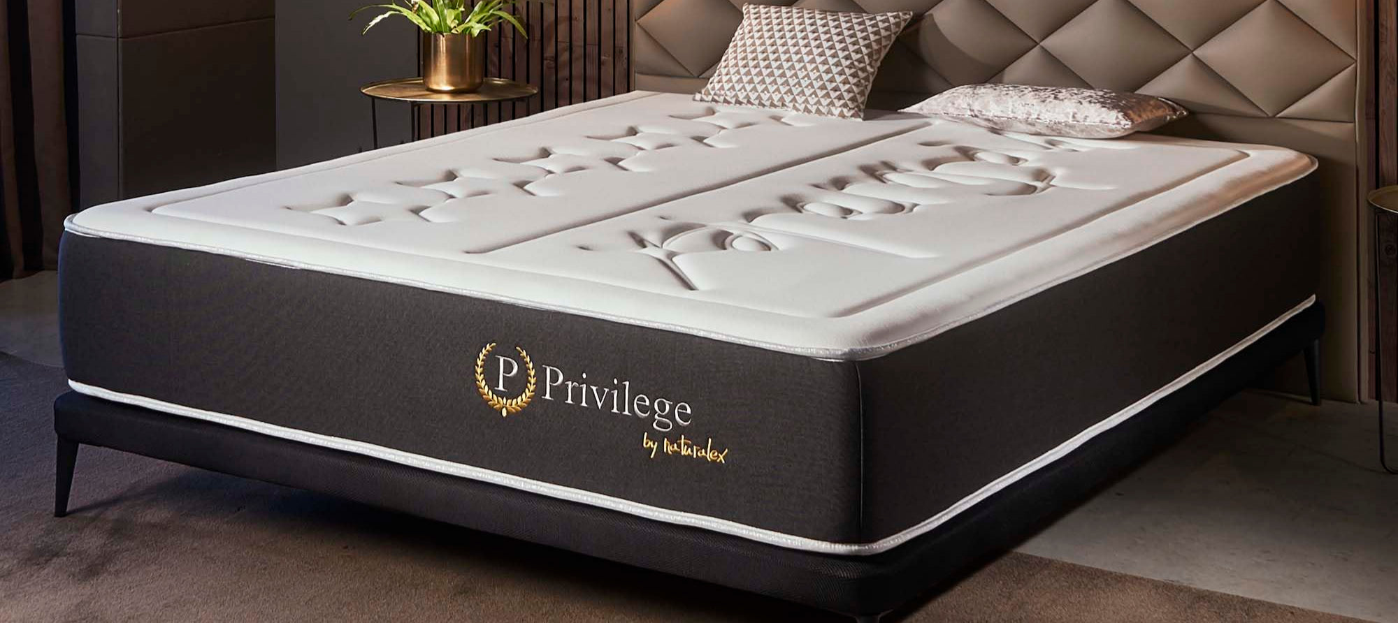 Naturalex - Colchón Muelles 140x190 cm - Altura 24 cm - Privilege - Híbrido Muelles Ensacados y Viscoelástica - Espuma HR y Blue Látex - Ergonómico, Transpirable, Gran Adaptabilidad - Acabados Premium