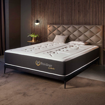 Naturalex - Colchón Muelles 140x190 cm - Altura 24 cm - Privilege - Híbrido Muelles Ensacados y Viscoelástica - Espuma HR y Blue Látex - Ergonómico, Transpirable, Gran Adaptabilidad - Acabados Premium