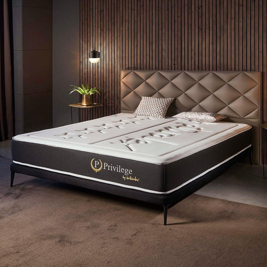 Naturalex - Colchón Muelles 140x190 cm - Altura 24 cm - Privilege - Híbrido Muelles Ensacados y Viscoelástica - Espuma HR y Blue Látex - Ergonómico, Transpirable, Gran Adaptabilidad - Acabados Premium